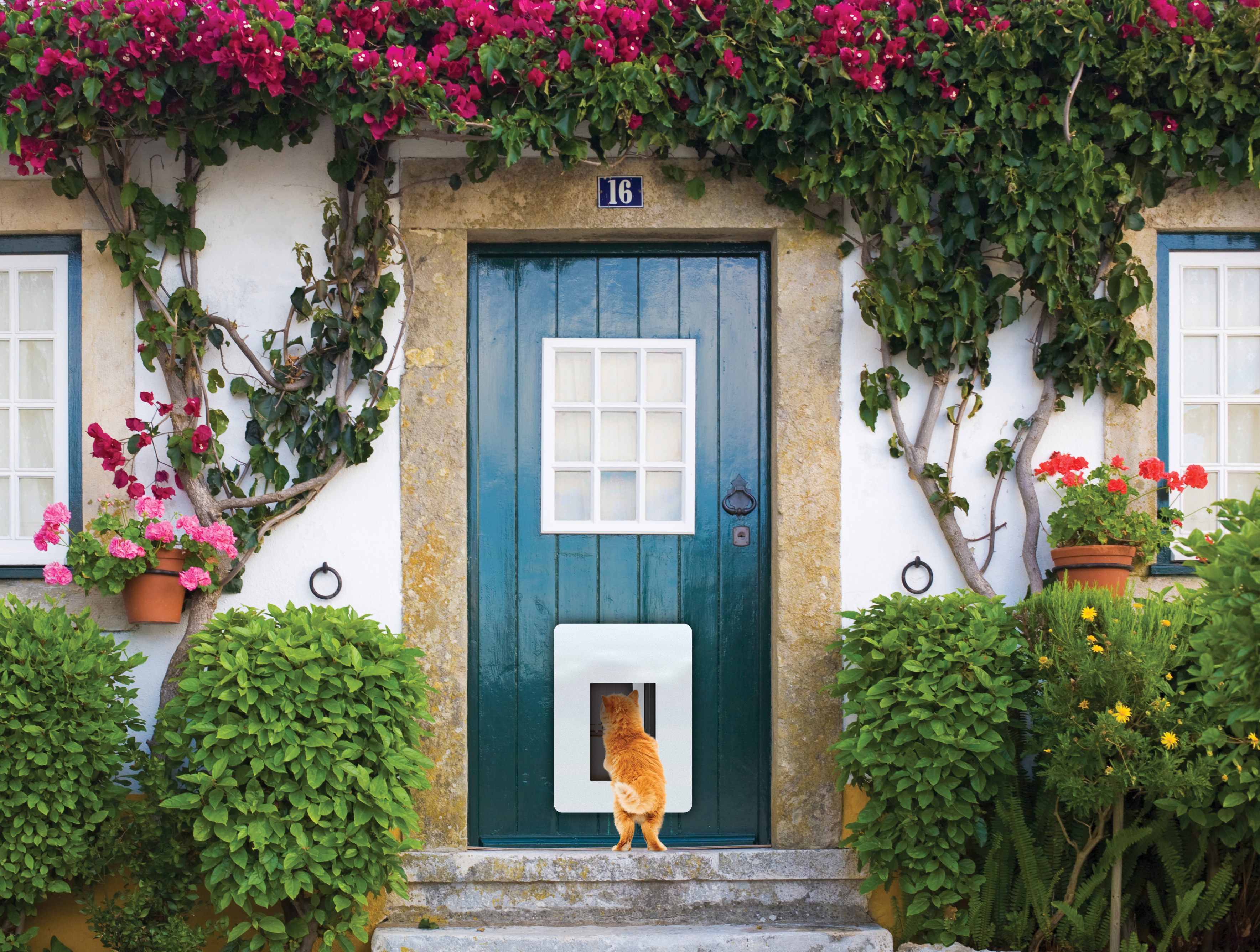 front door with pet door