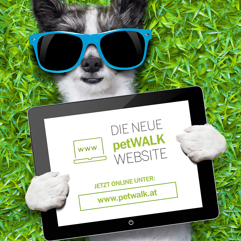 Die neue petWALK Website ist online!